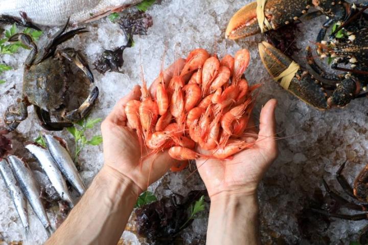 Poissonnerie traditionnelle et poissonnerie moderne: quelles differences dans la ville de Roanne?<br/>Poissonnerie traditionnelle et poissonnerie moderne: quelles différences vers Roanne?<br/>Poissonnerie traditionnelle et poissonnerie moderne: quelles différences à l’intérieur de Roanne?