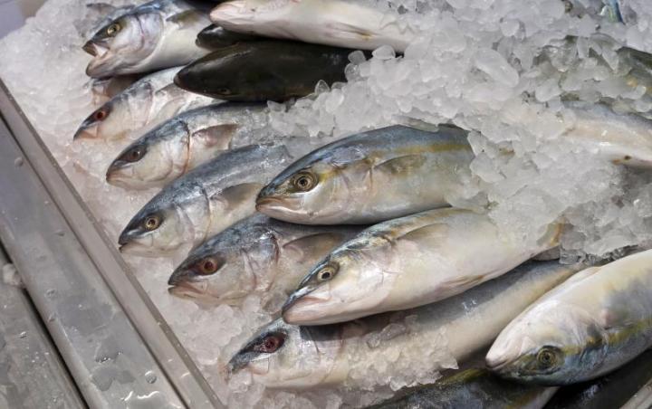 Poissonnerie près de Mably<br/>Poissonnerie à Mably<br/>Poissonnerie vers Mably