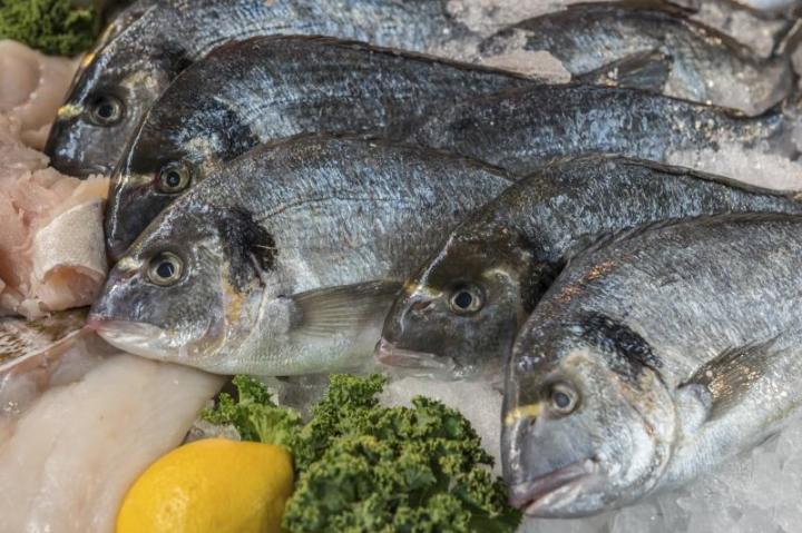 Poissonnerie dans la ville de Centre Social Moulin à Vent<br/>Poissonnerie à proximité de Centre Social Moulin à Vent<br/>Poissonnerie près de Centre Social Moulin à Vent